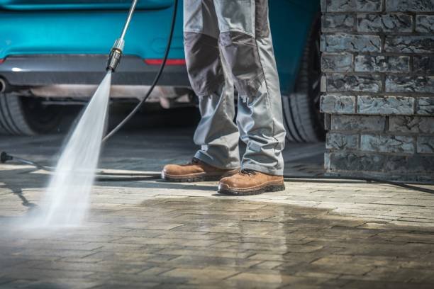 Best Pool Deck Cleaning  in Daleville, IN