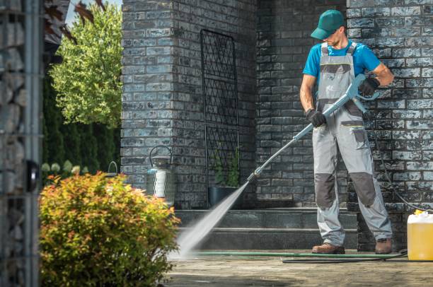 Best Building Exterior Washing  in Daleville, IN