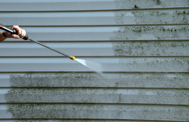 Best Factory Floor Cleaning  in Daleville, IN