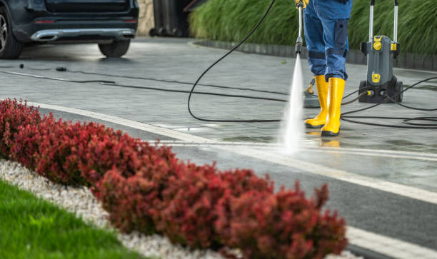 Best House Exterior Washing  in Daleville, IN