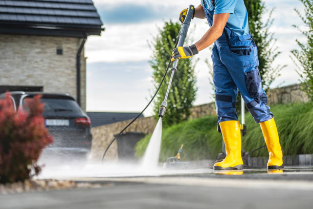 Best Roof Washing  in Daleville, IN