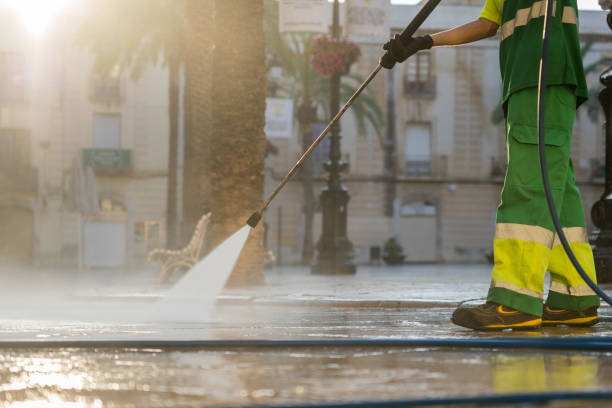 Best Driveway Pressure Washing  in Daleville, IN