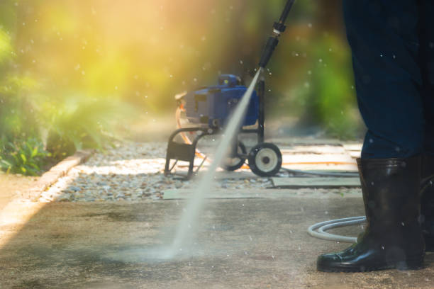 Best Fence Cleaning  in Daleville, IN