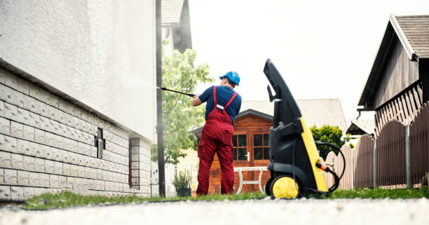Best Spring Cleaning  in Daleville, IN