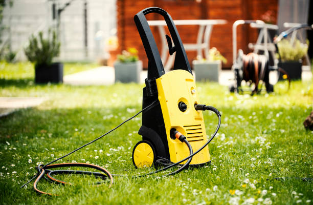 Best Rust Removal  in Daleville, IN